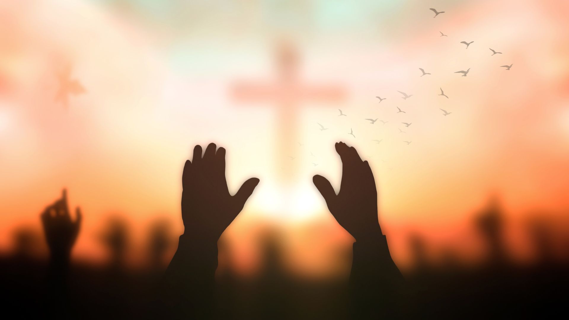 parallax background
